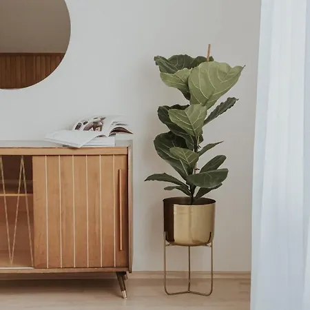 In Appartamento Bled