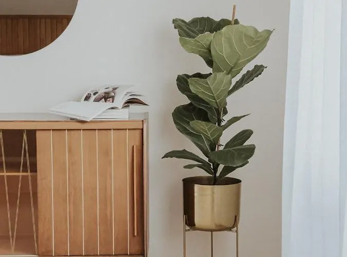 In Appartamento Bled